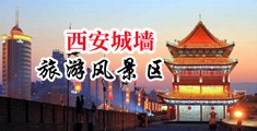骚b乱轮中国陕西-西安城墙旅游风景区